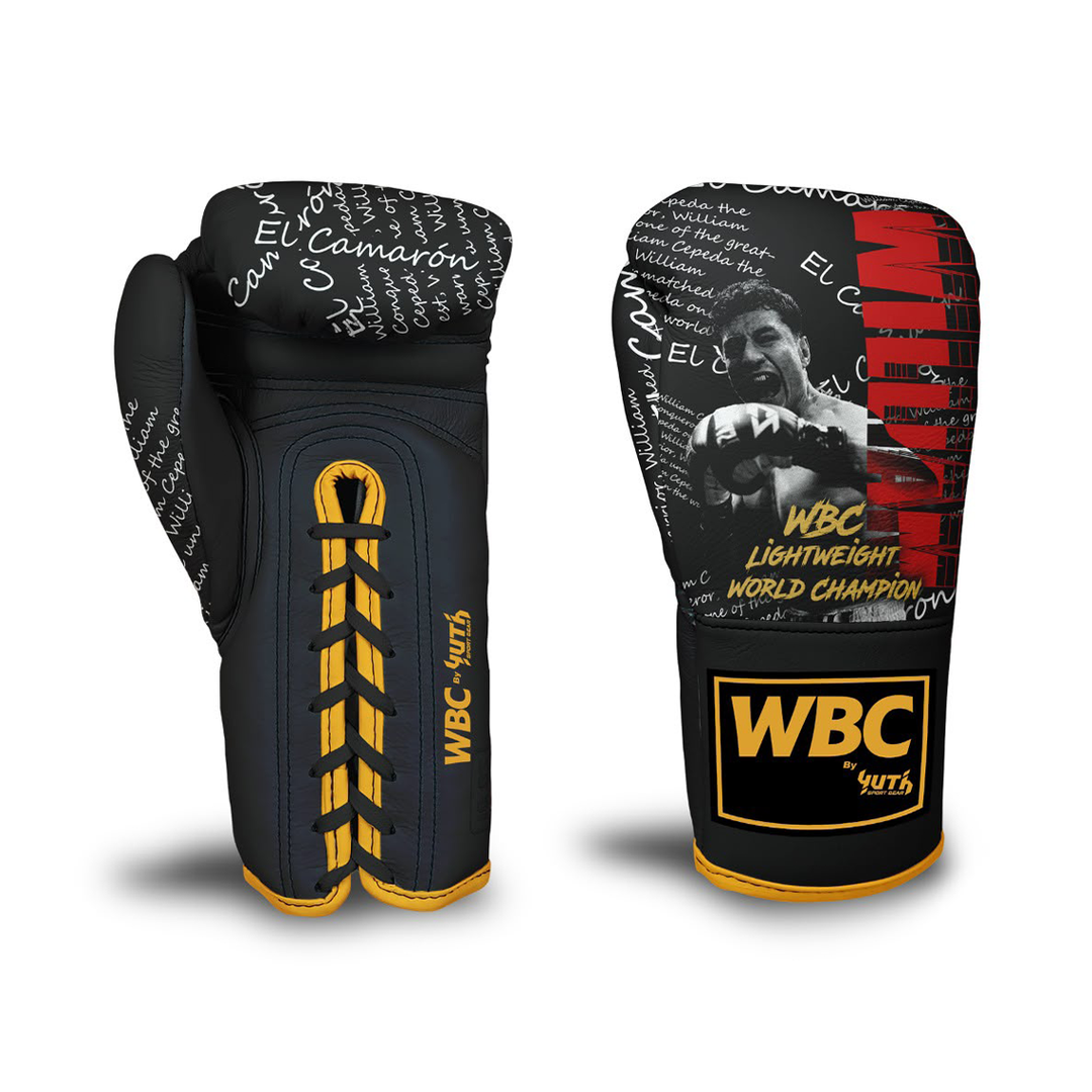 William Zapeda Boxing Gloves