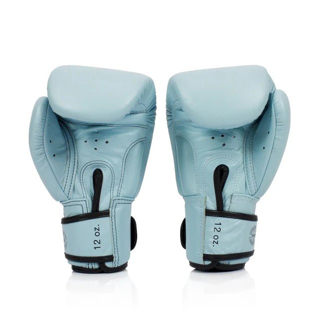 Fairtex BGV20 Leather Boxing Gloves