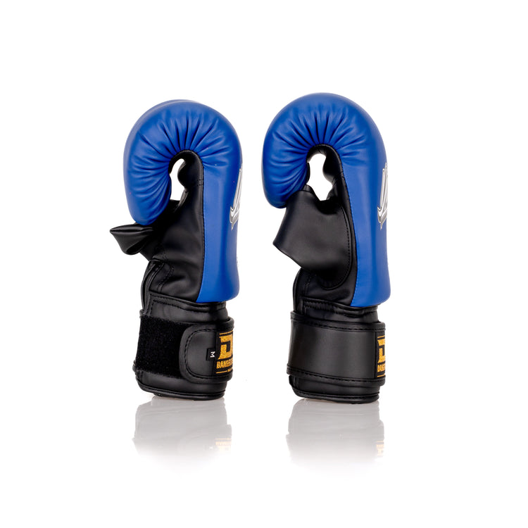 Black/Blue Danger Equipment Bag Gloves Side